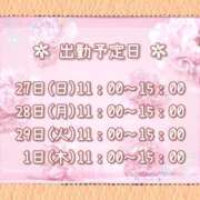 ヒメ日記 2025/04/27 08:46 投稿 ひびき 脱がされたい人妻 宇都宮店