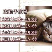 ヒメ日記 2025/05/20 08:38 投稿 ひびき 脱がされたい人妻 宇都宮店