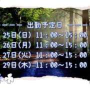 ヒメ日記 2025/05/25 07:57 投稿 ひびき 脱がされたい人妻 宇都宮店