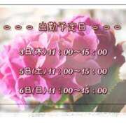 ヒメ日記 2025/07/03 08:05 投稿 ひびき 脱がされたい人妻 宇都宮店