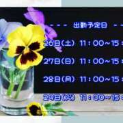 ヒメ日記 2025/07/26 00:12 投稿 ひびき 脱がされたい人妻 宇都宮店
