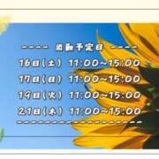 ヒメ日記 2025/08/16 08:13 投稿 ひびき 脱がされたい人妻 宇都宮店