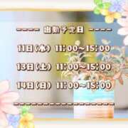 ヒメ日記 2025/09/10 19:14 投稿 ひびき 脱がされたい人妻 宇都宮店