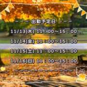 ヒメ日記 2025/11/13 08:50 投稿 ひびき 脱がされたい人妻 宇都宮店