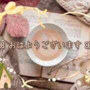 ヒメ日記 2025/11/16 08:55 投稿 ひびき 脱がされたい人妻 宇都宮店