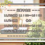 ヒメ日記 2025/11/23 09:07 投稿 ひびき 脱がされたい人妻 宇都宮店