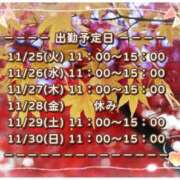 ヒメ日記 2025/11/25 08:53 投稿 ひびき 脱がされたい人妻 宇都宮店