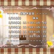 ひびき ※無題 脱がされたい人妻 宇都宮店