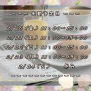 ヒメ日記 2026/02/19 09:46 投稿 ひびき 脱がされたい人妻 宇都宮店