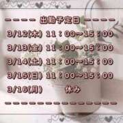 ヒメ日記 2026/03/11 21:30 投稿 ひびき 脱がされたい人妻 宇都宮店