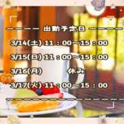 ヒメ日記 2026/03/14 09:02 投稿 ひびき 脱がされたい人妻 宇都宮店