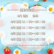 ヒメ日記 2026/04/01 10:21 投稿 ひびき 脱がされたい人妻 宇都宮店