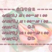 ヒメ日記 2026/04/09 10:00 投稿 ひびき 脱がされたい人妻 宇都宮店