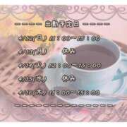 ヒメ日記 2026/04/12 08:49 投稿 ひびき 脱がされたい人妻 宇都宮店