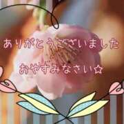 ヒメ日記 2026/04/12 23:07 投稿 ひびき 脱がされたい人妻 宇都宮店