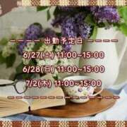 ヒメ日記 2026/06/26 21:45 投稿 ひびき 脱がされたい人妻 宇都宮店