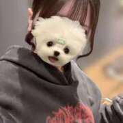 ヒメ日記 2025/12/25 12:20 投稿 えま 奥様特急新潟店