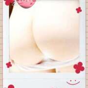 ヒメ日記 2025/11/16 09:54 投稿 季子（きこ） 人妻・熟女特急新潟店