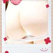 ヒメ日記 2025/11/16 10:13 投稿 季子（きこ） 人妻・熟女特急新潟店