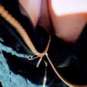 ヒメ日記 2024/12/24 22:13 投稿 今日子(きょうこ) 人妻・熟女特急新潟店