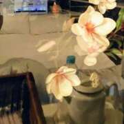 ヒメ日記 2025/06/16 20:53 投稿 今日子(きょうこ) 人妻・熟女特急新潟店