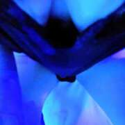 ヒメ日記 2025/10/16 01:43 投稿 今日子(きょうこ) 人妻・熟女特急新潟店