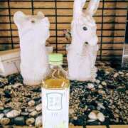 ヒメ日記 2025/10/28 01:03 投稿 今日子(きょうこ) 人妻・熟女特急新潟店