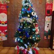 ヒメ日記 2025/12/21 21:33 投稿 今日子(きょうこ) 人妻・熟女特急新潟店