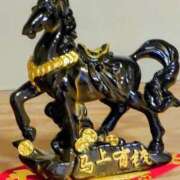 ヒメ日記 2026/01/03 08:23 投稿 今日子(きょうこ) 人妻・熟女特急新潟店