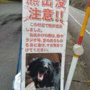 ヒメ日記 2025/12/16 11:45 投稿 みき 奥様特急上越店