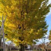 ヒメ日記 2025/12/26 12:15 投稿 みき 奥様特急上越店