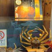 みき 本日事前予約指名感謝✨️ 奥様特急上越店