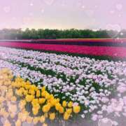 ヒメ日記 2025/04/01 12:43 投稿 聖花（せいか） 人妻・熟女特急新潟店