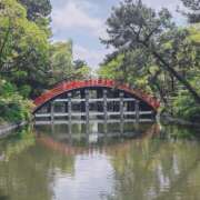 ヒメ日記 2025/06/05 17:13 投稿 聖花（せいか） 人妻・熟女特急新潟店