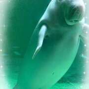 ヒメ日記 2025/07/11 11:13 投稿 聖花（せいか） 人妻・熟女特急新潟店