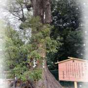 ヒメ日記 2026/03/21 13:23 投稿 聖花（せいか） 人妻・熟女特急新潟店