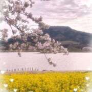 ヒメ日記 2026/04/08 15:13 投稿 聖花（せいか） 人妻・熟女特急新潟店