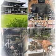 ヒメ日記 2026/06/19 17:23 投稿 聖花（せいか） 人妻・熟女特急新潟店