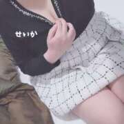 ヒメ日記 2025/01/29 11:10 投稿 せいか 奥様特急新潟店