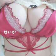 ヒメ日記 2025/04/22 10:20 投稿 せいか 奥様特急新潟店