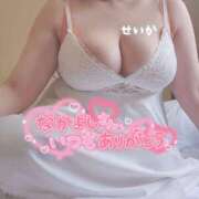 ヒメ日記 2026/02/21 15:20 投稿 せいか 奥様特急新潟店