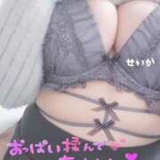 ヒメ日記 2026/02/22 08:20 投稿 せいか 奥様特急新潟店