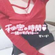 ヒメ日記 2026/02/23 10:20 投稿 せいか 奥様特急新潟店