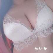 ヒメ日記 2025/02/06 11:33 投稿 せいか 奥様特急三条店