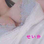 ヒメ日記 2025/07/21 10:32 投稿 せいか 奥様特急三条店