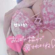 ヒメ日記 2025/10/05 11:23 投稿 せいか 奥様特急三条店