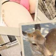 ヒメ日記 2025/10/21 10:10 投稿 ひかる 奥様特急新潟店