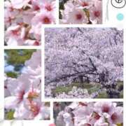 ひかる ぐわぁ〜 奥様特急新潟店