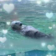 ヒメ日記 2025/06/28 18:05 投稿 みいさ 奥様特急三条店