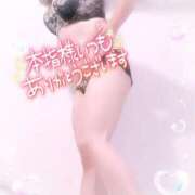 ヒメ日記 2025/07/09 14:40 投稿 みいさ 奥様特急三条店